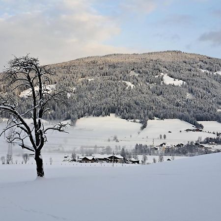 Ferienwohnung Palfengut Altenmarkt im Pongau Exterior foto