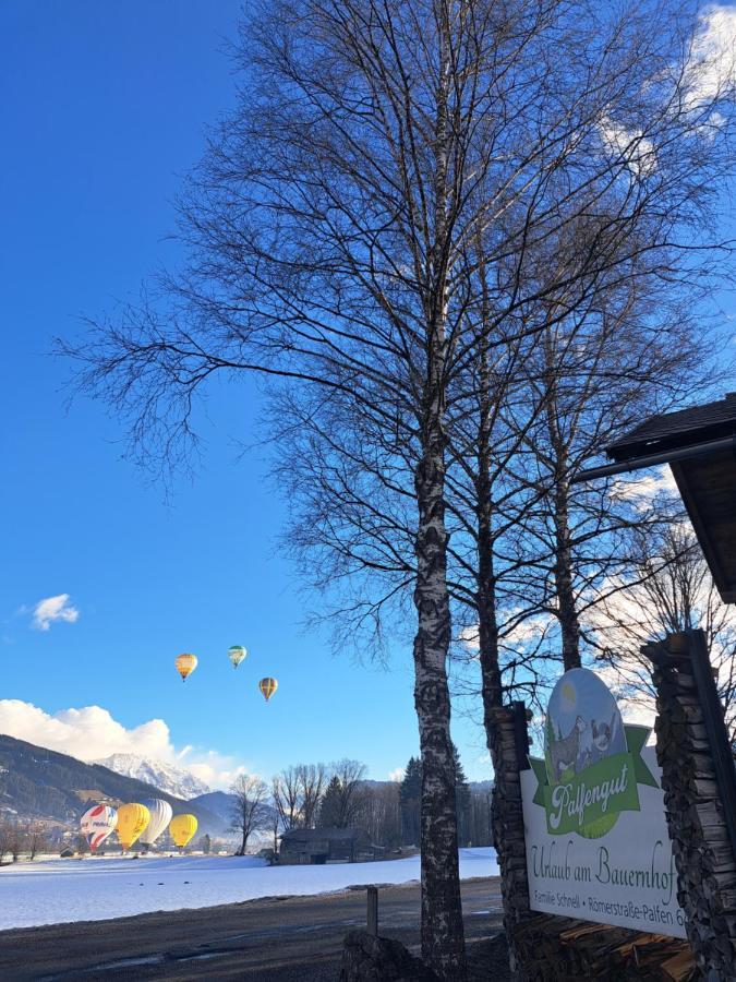 Ferienwohnung Palfengut Altenmarkt im Pongau Exterior foto