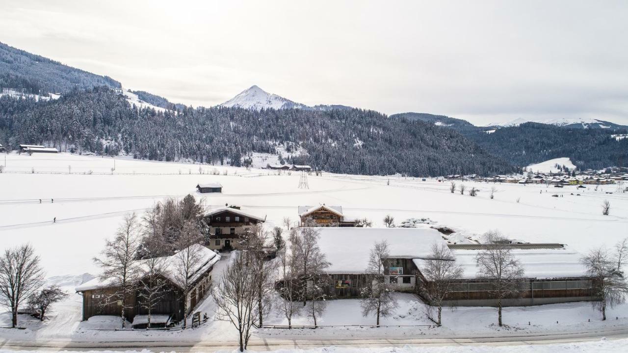 Ferienwohnung Palfengut Altenmarkt im Pongau Exterior foto